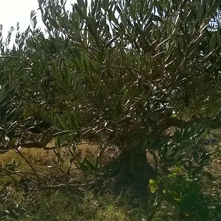 Casa vacanze La Palma San Michele (Pantelleria)