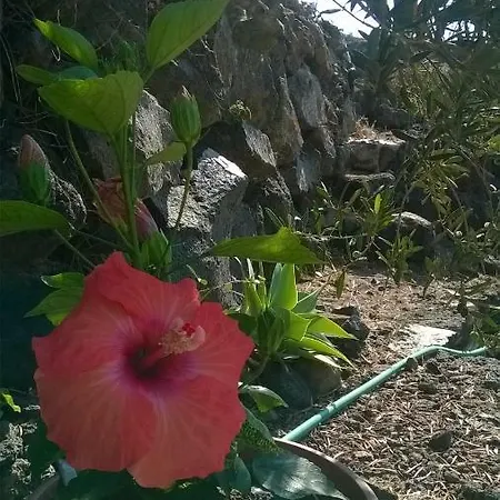 Holiday home La Palma