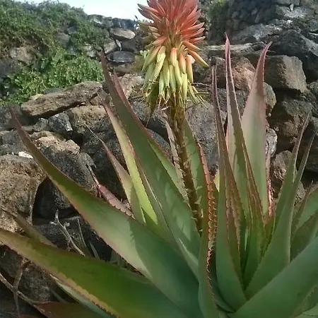 La Palma San Michele (Pantelleria)